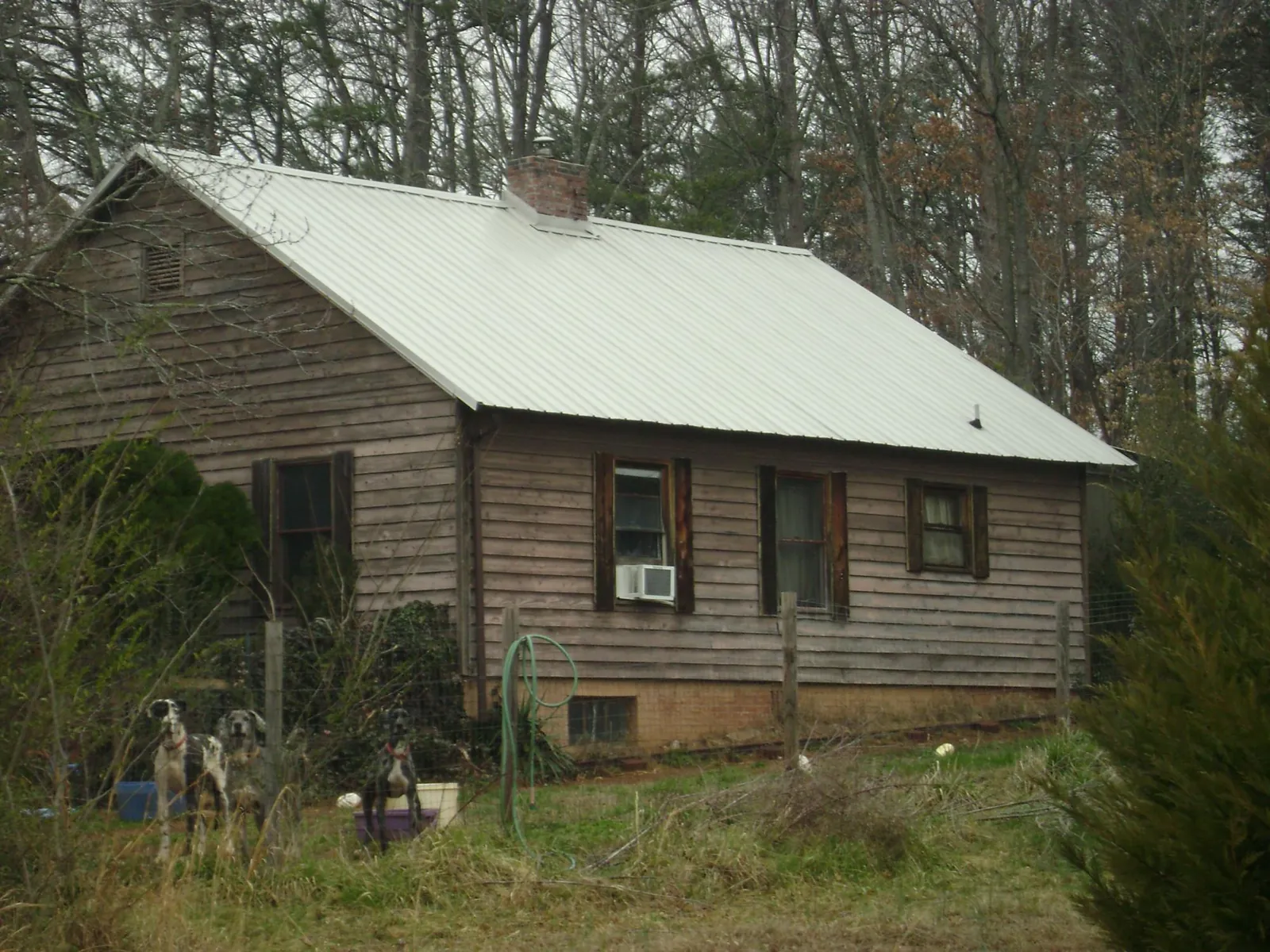 White metal roof on an old wood sided farmhouse, from a Asphalt Shingle Roof Repair job in Great Mills